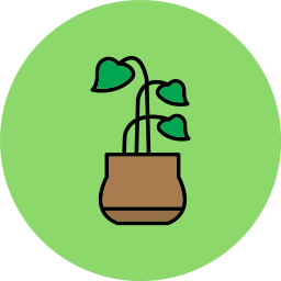 Rubber plant icon