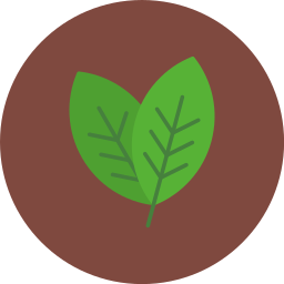 Leaf icon