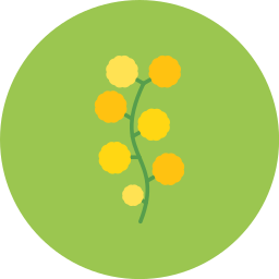 Wattle icon