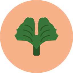 은행 나무 icon