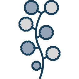 acacia Icône