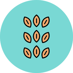 Sesame icon