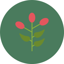 Barberry icon