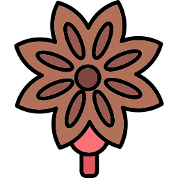 Anise icon