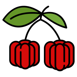 Acerola icon
