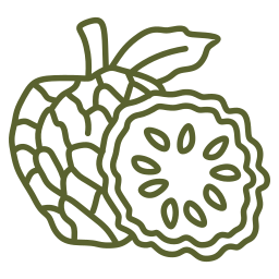 cherimoia icona