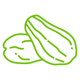 Chayote icon