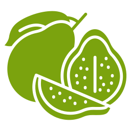 Guava icon