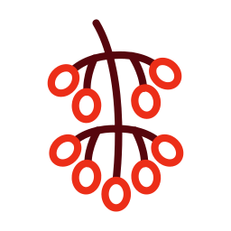 팽나무 icon