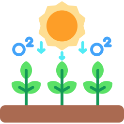 photosynthèse Icône