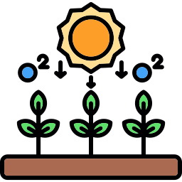 photosynthèse Icône