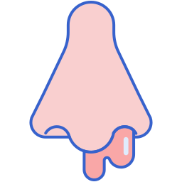 hemorragia nasal icono