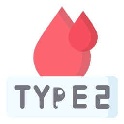 type 2 icoon