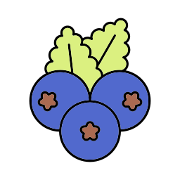 Blueberry icon