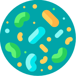 Bacteria icon