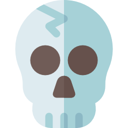 Skull icon