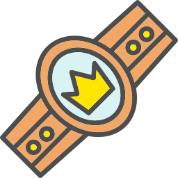 champion-gürtel icon