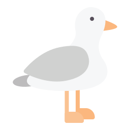 mouette Icône