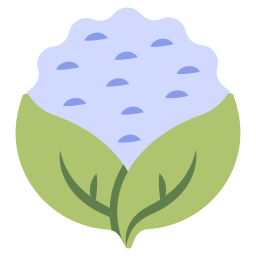 Cauliflower icon