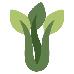 Herbs icon