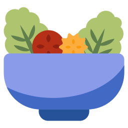 Salad icon