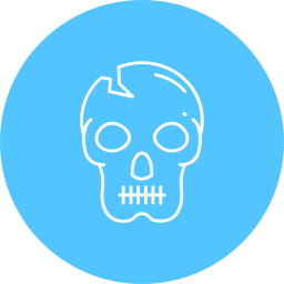 Skull icon