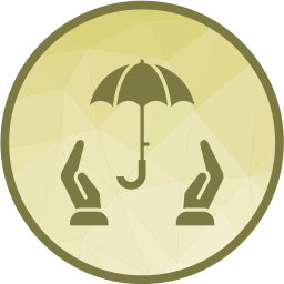 Business insurance icon