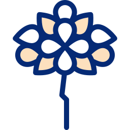 ビスナガ icon