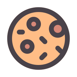 Pizza icon