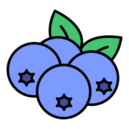 Blueberries icon