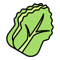 Cabbage icon