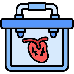 doação de órgãos Ícone