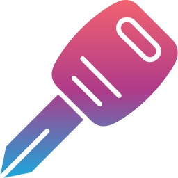 Car key icon