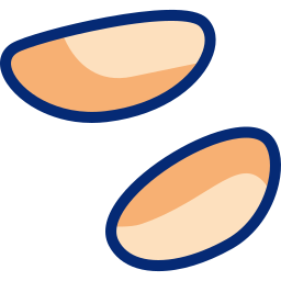 Brazilian nut icon