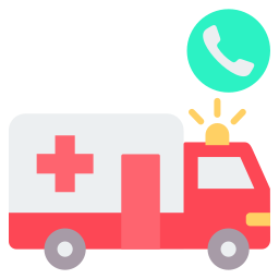 services d'urgence Icône
