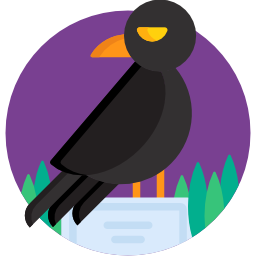 Crow icon