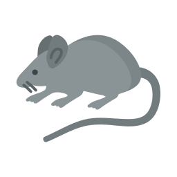 mysz ikona