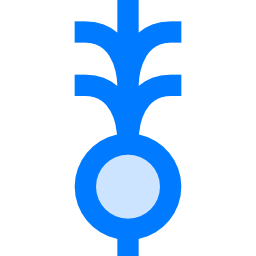봄 양파 icon