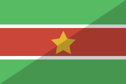 vlag icoon