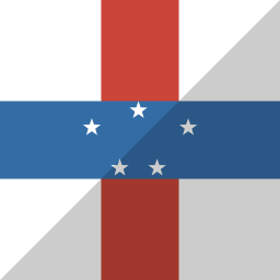 vlag icoon