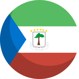 Flag icon