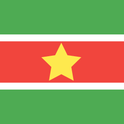 Flag icon