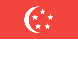 Flag icon