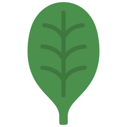 Spinach icon