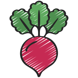 Beet icon