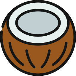 Coconut icon