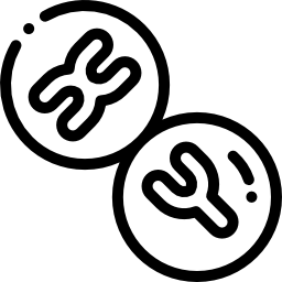 chromosome Icône