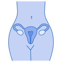 vrouwelijke organen icoon