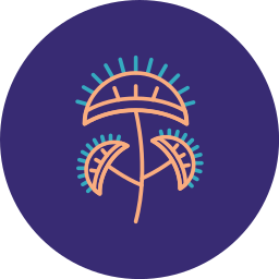 Venus flytrap icon