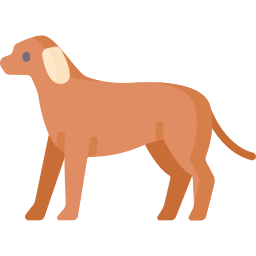 Dog icon